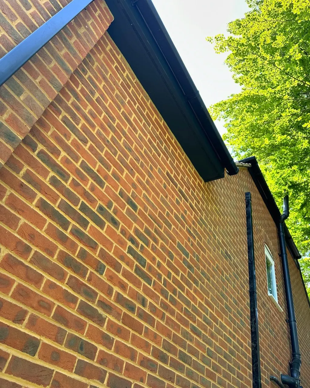 Exterior walls after masonry painting